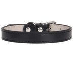 Weiches Leder Hunde- & Katzenhalsband – Verstellbares PU-Leder Halsband mit Schnalle für kleine, mittlere & große Hunde (16 Farben)