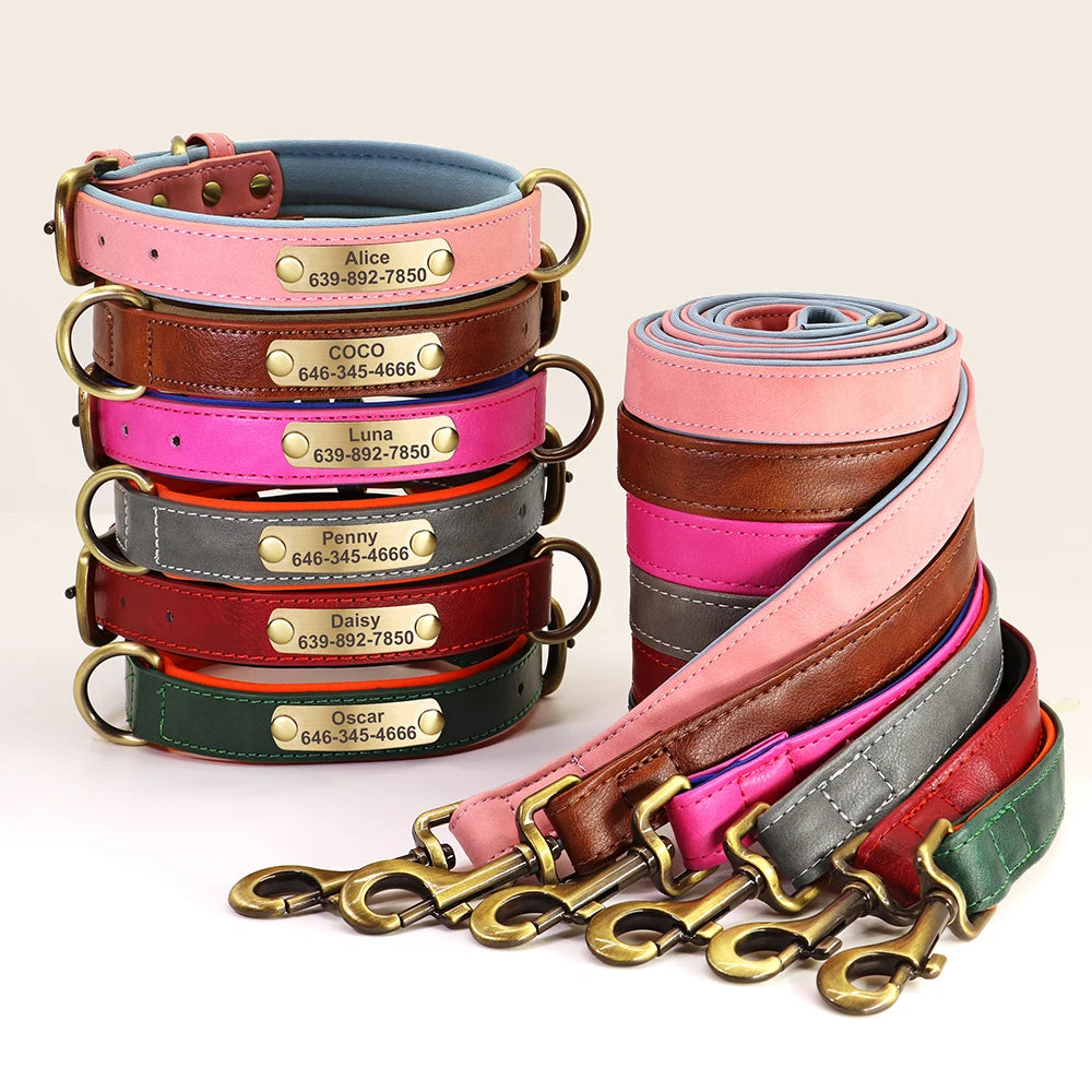 Personalisiertes Hunde-Halsband mit Leine aus PU-Leder – Gepolstertes ID-Halsband mit Namensgravur für kleine, mittlere & große Hunde