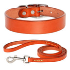 Echtes Leder Hunde- & Katzenhalsband – Verstellbares, langlebiges Lederhalsband XS–XL für kleine, mittlere & große Hunde