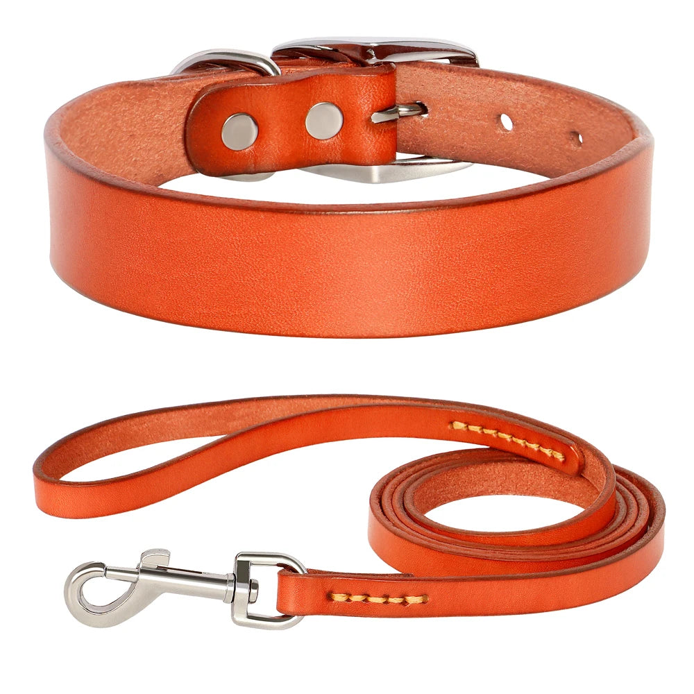 Echtes Leder Hunde- & Katzenhalsband – Verstellbares, langlebiges Lederhalsband XS–XL für kleine, mittlere & große Hunde