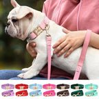 Ensemble de harnais et de laisse personnalisés pour chiens en cuir PU – Attaches individuelles avec ceinture pour petits et grands chiens 