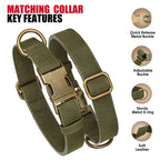 Verstellbares Hunde-Halsband & Leinen-Set aus PU-Leder – Weiches, langlebiges Hundehalsband mit Leine für kleine, mittlere & große Hunde