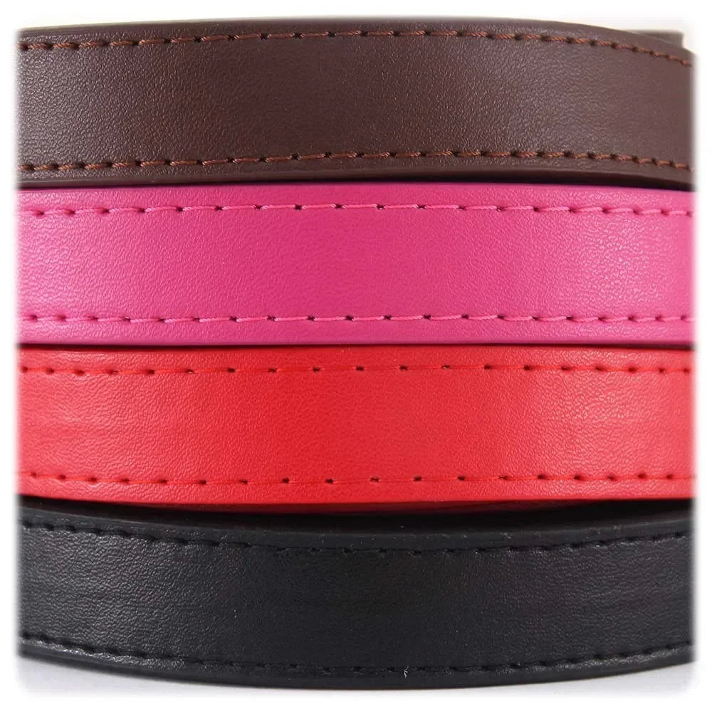 Bunte Leder-Hundeleine für Katzen & Hunde – 1,2 m Weiche PU-Lederleine für Spaziergänge