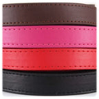 Bunte Leder-Hundeleine für Katzen & Hunde – 1,2 m Weiche PU-Lederleine für Spaziergänge