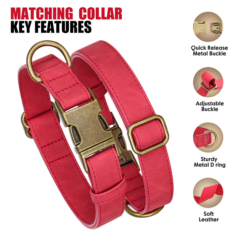 Verstellbares Hunde-Halsband & Leinen-Set aus PU-Leder – Weiches, langlebiges Hundehalsband mit Leine für kleine, mittlere & große Hunde