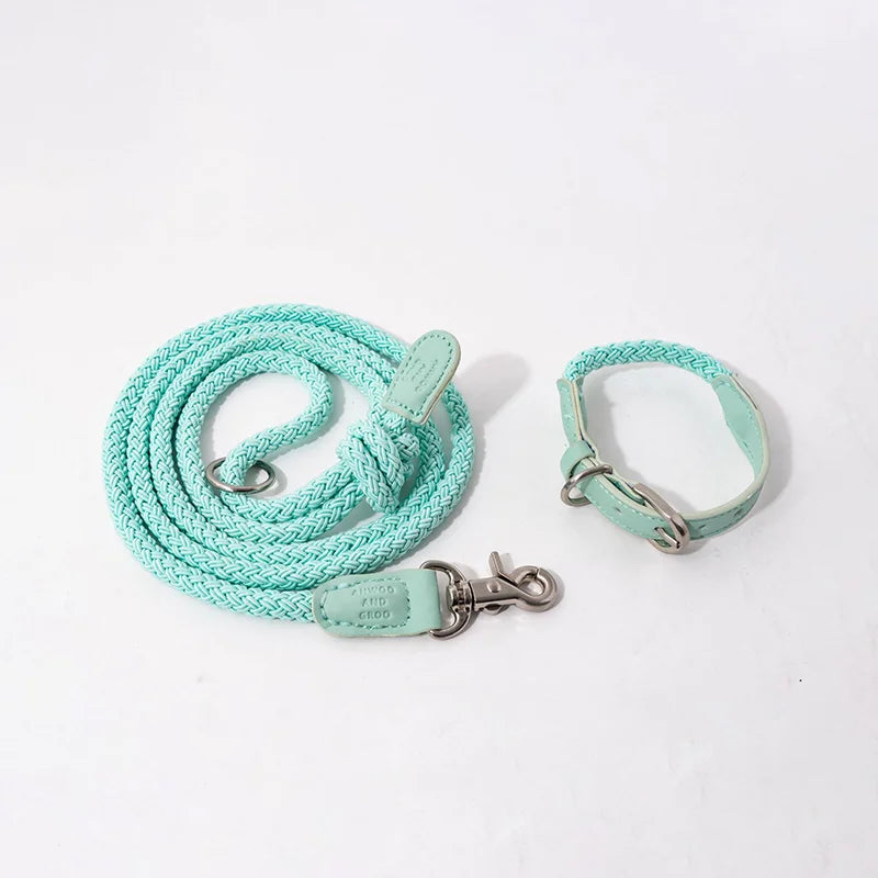 Geflochtenes Hundehalsband &amp; Leinen Set aus Leder – Stilvolles Premium Set para Bichon Frisé y pequeños perros