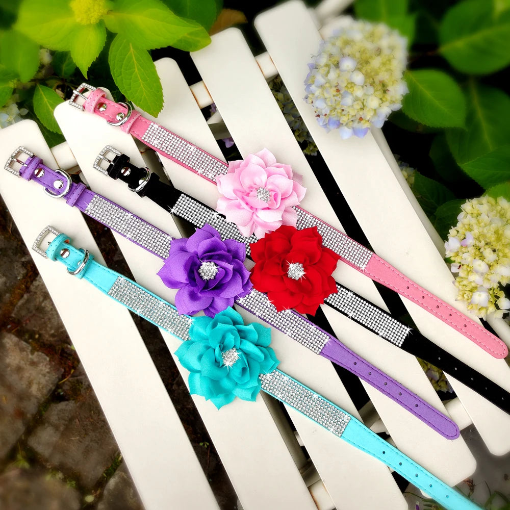 Glitzerndes Leder Hundehalsband mit Strass &amp; Blumenmotiv inkl. 120 cm Leine – Ensemble élégant Bling pour chiens et chats (XS–L)