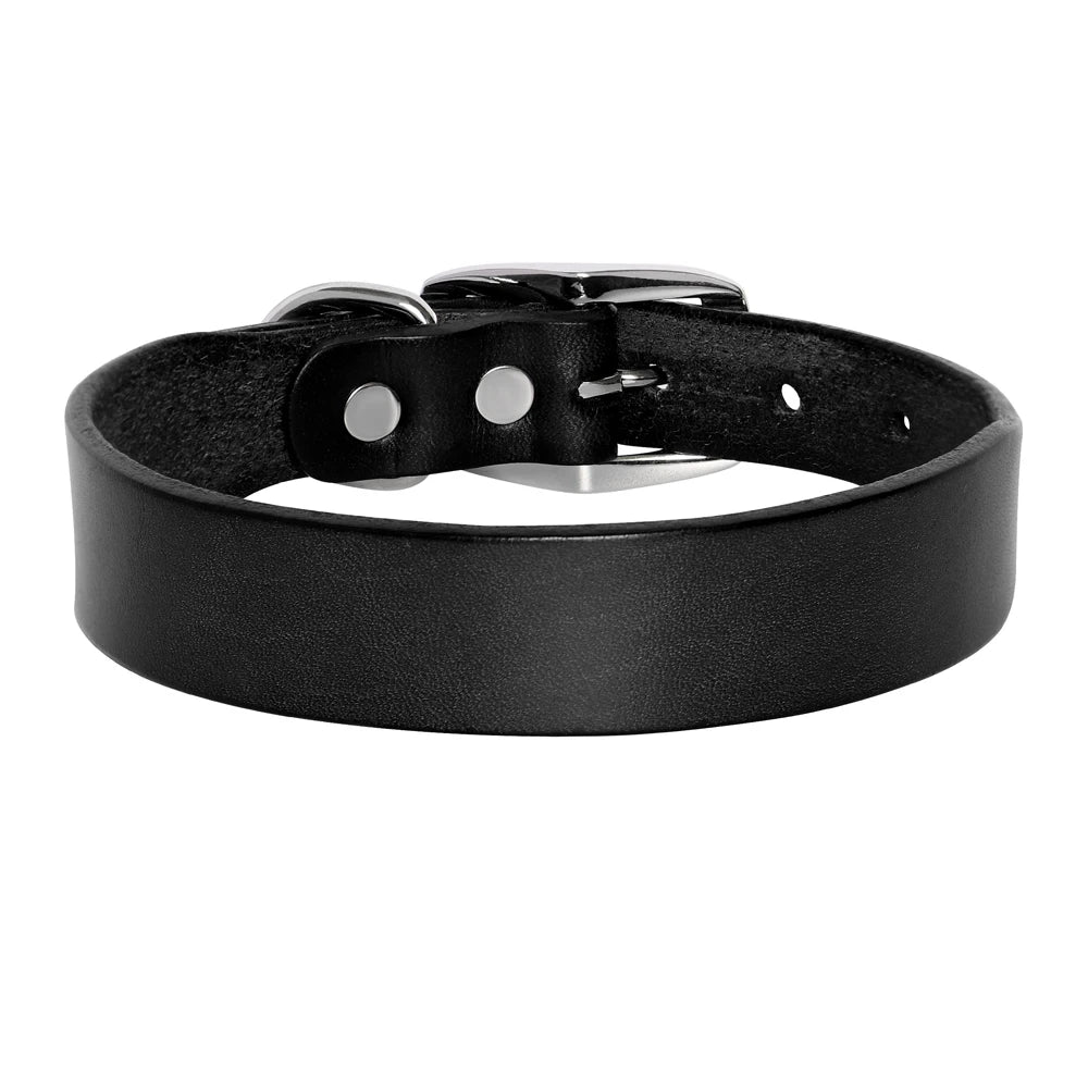 Echtes Leder Hunde- & Katzenhalsband – Verstellbares, langlebiges Lederhalsband XS–XL für kleine, mittlere & große Hunde
