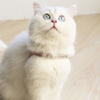 PU Leder Hund & Katzen Geschirr mit Leine – Elegantes Welpen Geschirr-Set mit Ziersteinen für kleine Hunde & Katzen