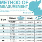 Stilvolles Leder Hunde-Set – Robustes Halsband, Harness & Leine für mittelgroße Hunde