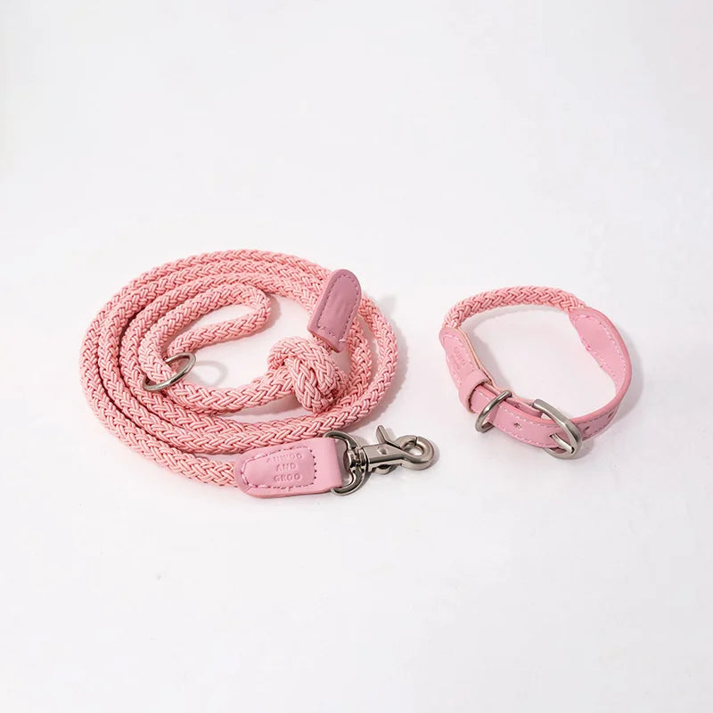 Geflochtenes Hundehalsband & Leinen Set aus Leder – Stilvolles Premium Set für Bichon Frisé & kleine Hunde