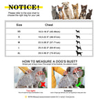 Personalisiertes Hundegeschirr mit Gravur – Verstellbares Mesh-Leder Vest-Geschirr aus PU-Leder für kleine, mittlere & große Hunde (XS–XL)