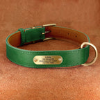Personalisierbares Leder-Hundehalsband & Leine – Robust, Komfortabel und Individuell Graviert