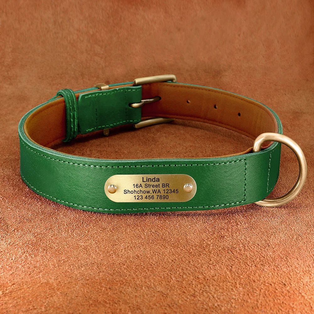 Personalisierbares Leder-Hundehalsband & Leine – Robust, Komfortabel und Individuell Graviert