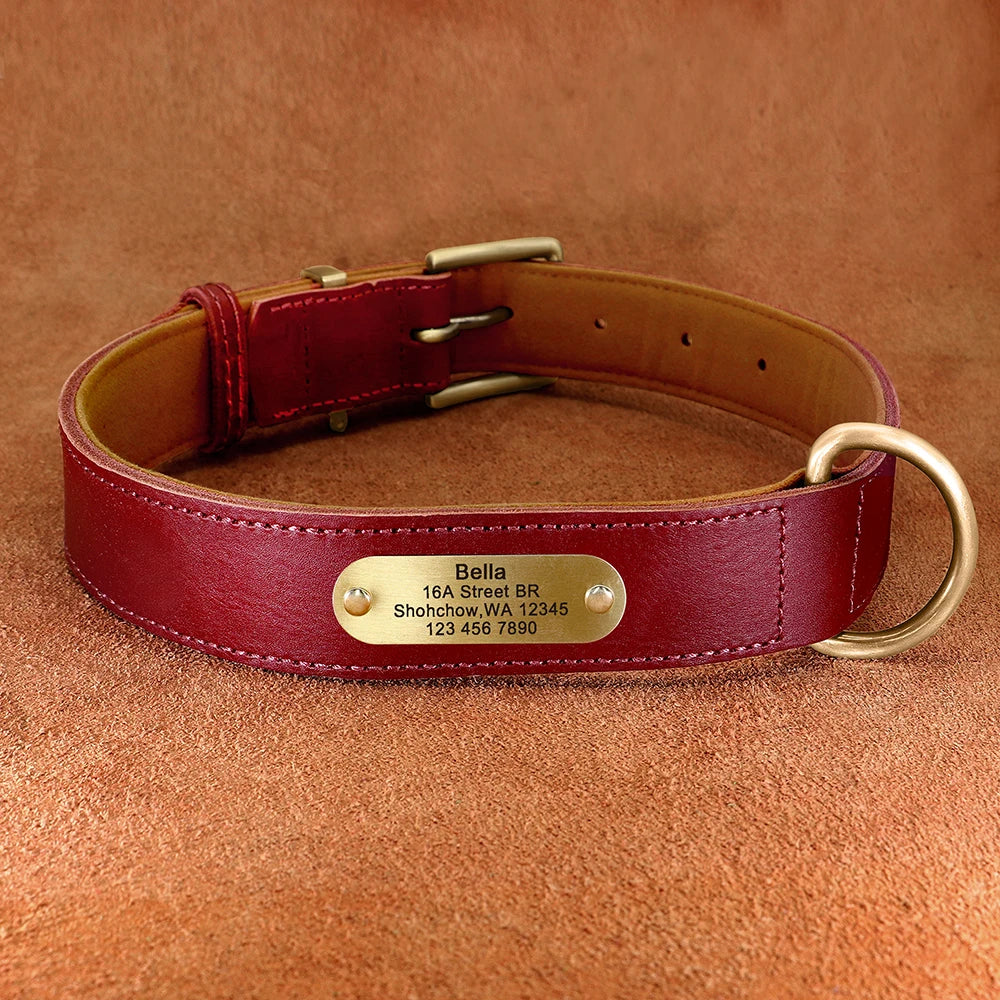 Personalisierbares Leder-Hundehalsband & Leine – Robust, Komfortabel und Individuell Graviert
