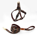 Bedrucktes Leder Hunde-Geschirr &amp; Leinen-Set – Verstellbarer Brustgurt mit Schnellverschluss für Welpen &amp; kleine bis mittelgroße Hunde