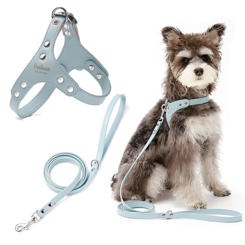 Premium Leder Hunde-Geschirr & Leinen Set – Robustes Hundegeschirr mit verstärkten Nieten für kleine Hunde & Welpen