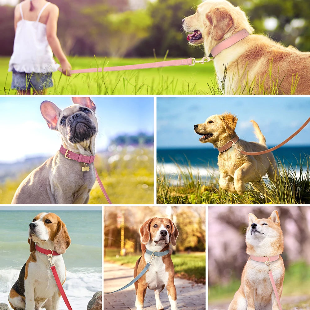 Weich gepolstertes Hunde-Halsband & Leinen Set aus PU Leder – Verstellbares Komfort-Set für kleine, mittlere & große Hunde