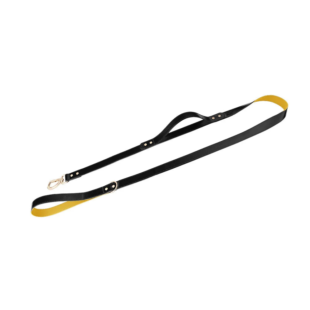 Wasserdichtes Leder Hundegeschirr mit Leine – Verstellbares Brustgeschirr-Set mit Schnellverschluss für kleine &amp; mittelgroße Hunde