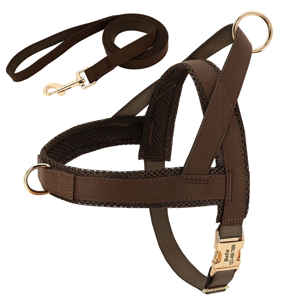 Personalisierbares Leder Hundehalsband, Geschirr & Leine Set – Gepolstertes Mesh Hundegeschirr mit Namensgravur für kleine, mittlere & große Hunde