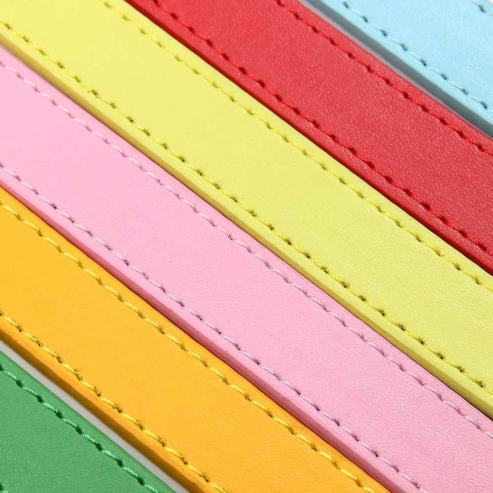 Hochwertige Leder-Hundeleine in 16 Farben – Komfortable Führleine für kleine und mittelgroße Hunde und Katzen (120 cm)