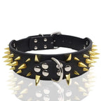 Spikes Hunde-Halsband & Leinen-Set aus Leder – Nieten-Halsband mit Polsterung, verstellbar & robust für Outdoor-Spaziergänge