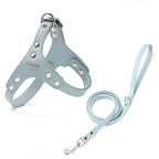 Premium Leder Hunde-Geschirr &amp; Leinen Set – Robustes Hundegeschirr mit verstärkten Nieten für kleine Hunde &amp; Welpen