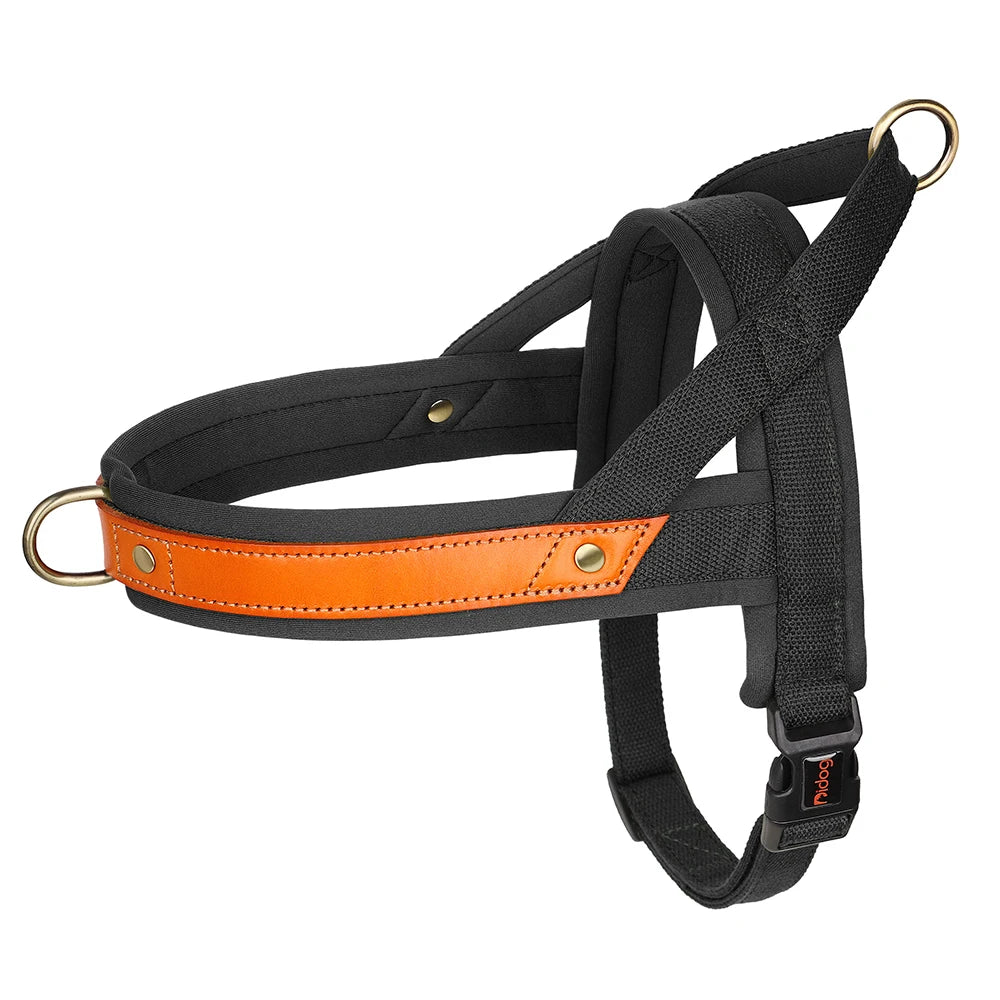 No-Pull Hunde-Geschirr Set aus Nylon & PU-Leder – Gepolstertes Harness mit Halsband & Leine für kleine, mittlere & große Hunde
