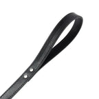 Hochwertige Leder-Hundeleine in 16 Farben – Komfortable Führleine für kleine und mittelgroße Hunde und Katzen (120 cm)