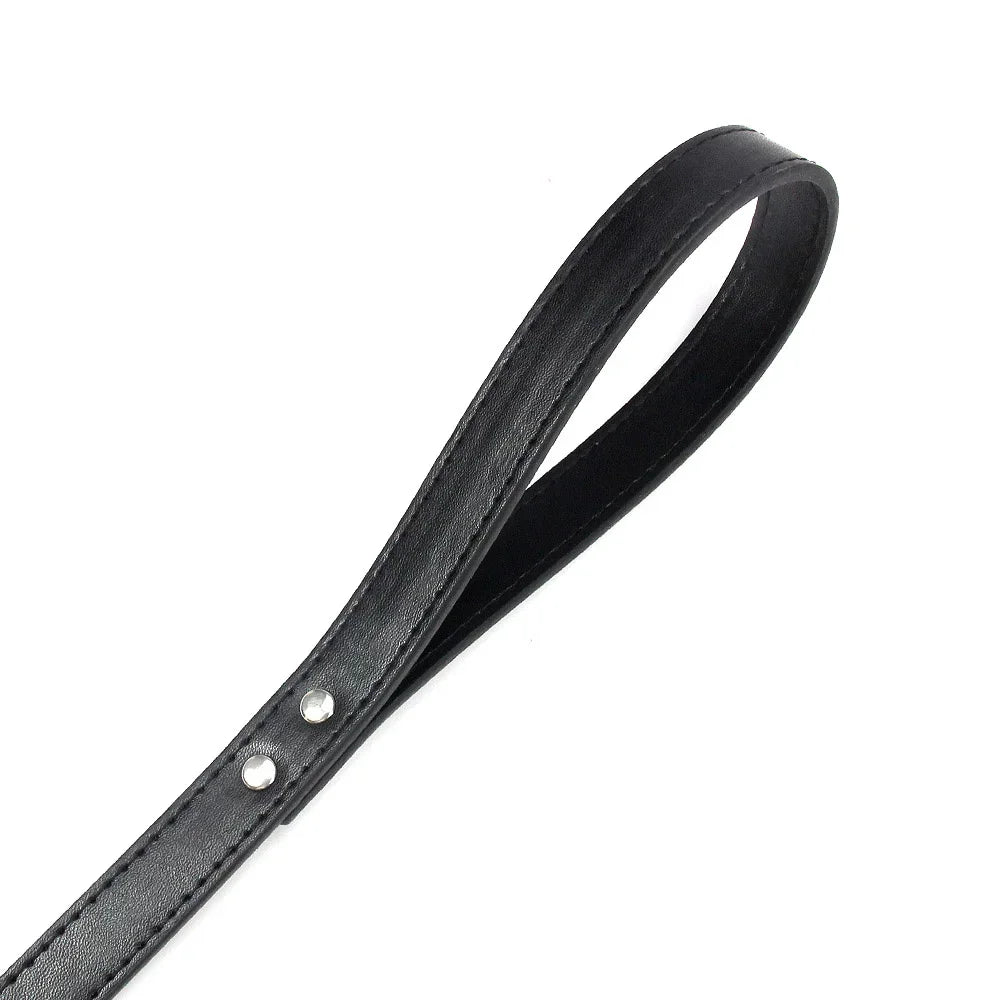 Hochwertige Leder-Hundeleine in 16 Farben – Komfortable Führleine für kleine und mittelgroße Hunde und Katzen (120 cm)