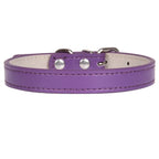 Weiches Leder Hunde- & Katzenhalsband – Verstellbares PU-Leder Halsband mit Schnalle für kleine, mittlere & große Hunde (16 Farben)