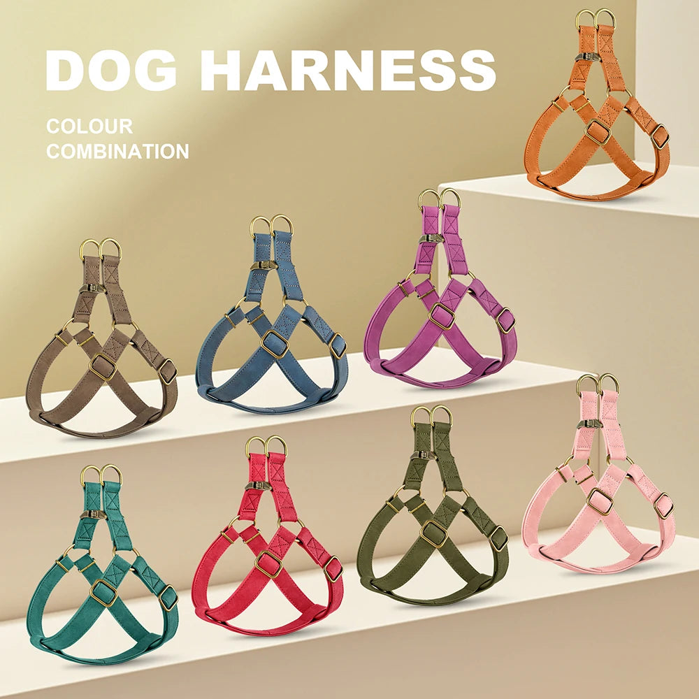 Gilet en cuir PU personnalisé avec gravure nominative – Gilet robuste pour chien, conçu avec un harnais pour petits, petits et grands chiens 