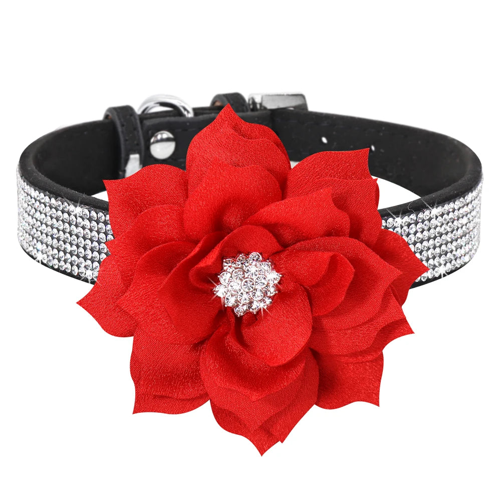 Glitzerndes Leder Hundehalsband mit Strass & Blumenmotiv inkl. 120 cm Leine – Elegantes Bling Set für Hunde & Katzen (XS–L)