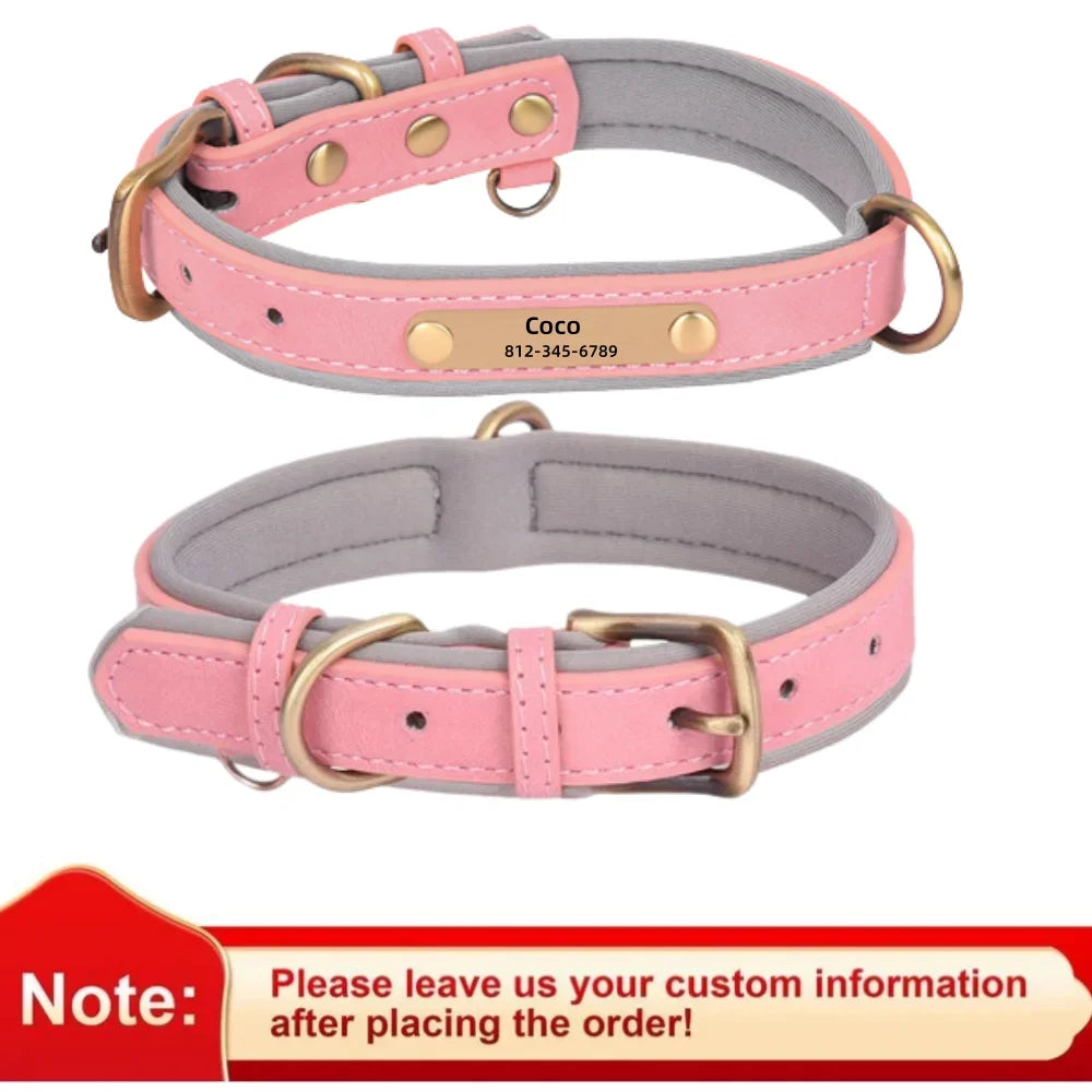 Personalisiertes Leder Hunde-Halsband mit Gravur – Weich gepolstert & verstellbar, inkl. kostenloser Namensplakette für kleine, mittlere & große Hunde