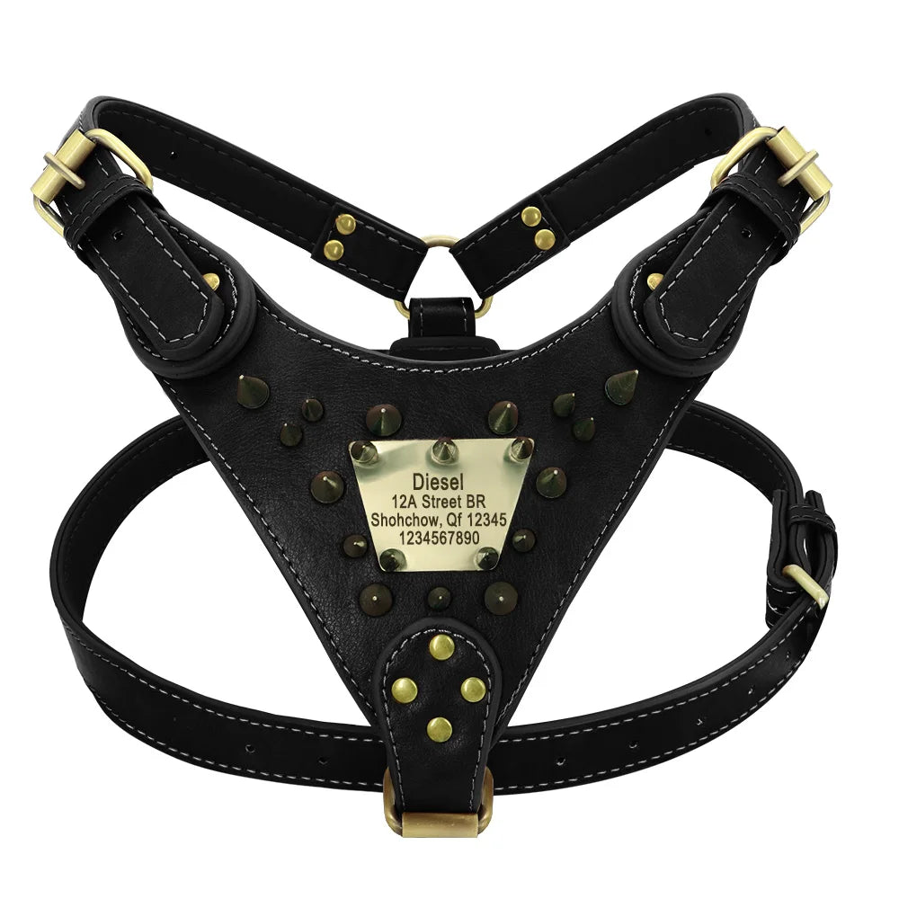 Personalisiertes Leder Hundegeschirr mit Nieten – Robustes Spiked Harness aus Echtleder für mittelgroße & große Hunde wie Pitbull & Bulldog