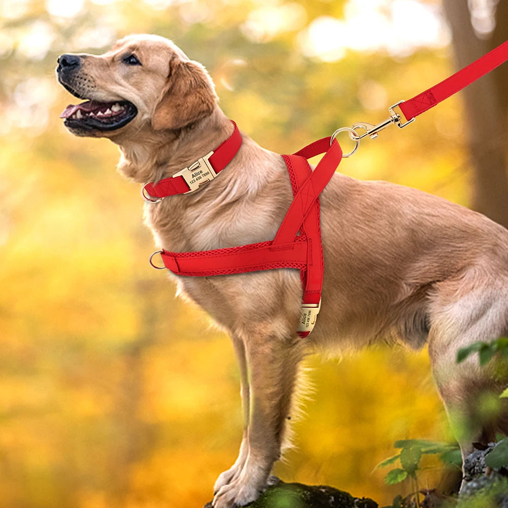 Personalisiertes Leder Hunde-Set mit Geschirr & Leine – Gepolstertes Mesh-Vest Harness mit kostenloser Namensgravur für kleine, mittlere & große Hunde