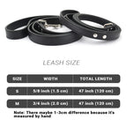 Hochwertige Leder-Hundeleine in 16 Farben – Komfortable Führleine für kleine und mittelgroße Hunde und Katzen (120 cm)