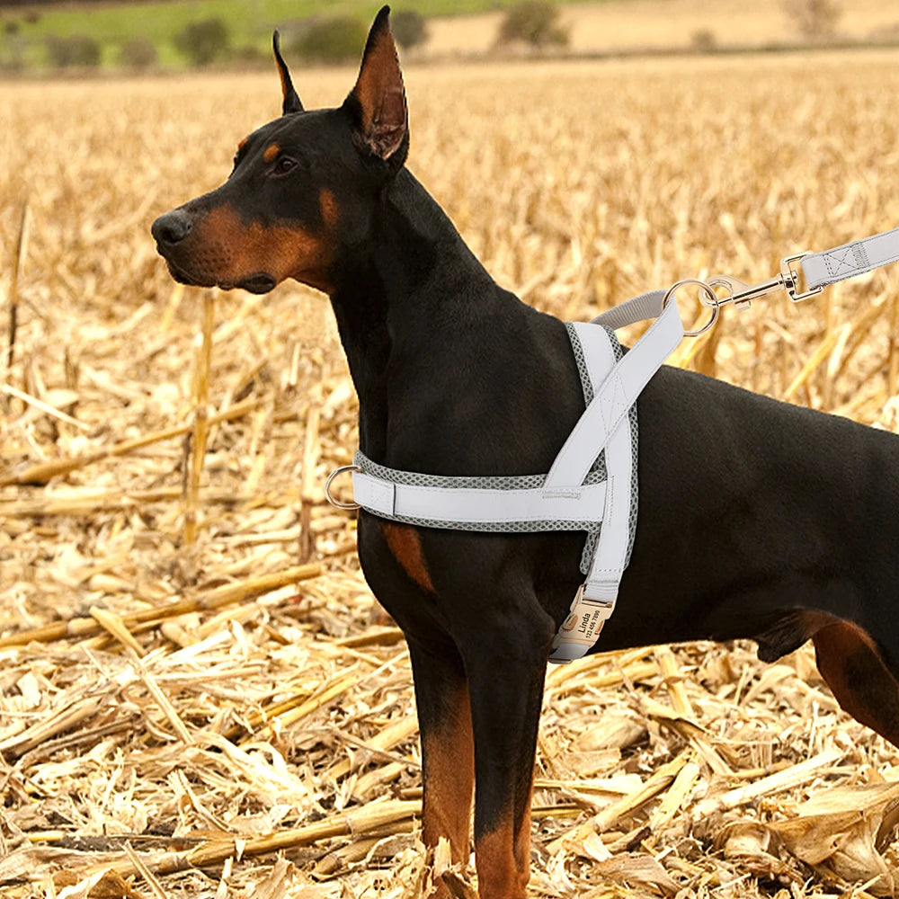 Personalisiertes Hundegeschirr mit Gravur – Verstellbares Mesh-Leder Vest-Geschirr aus PU-Leder für kleine, mittlere & große Hunde (XS–XL)