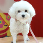 PU Leder Hund & Katzen Geschirr mit Leine – Elegantes Welpen Geschirr-Set mit Ziersteinen für kleine Hunde & Katzen