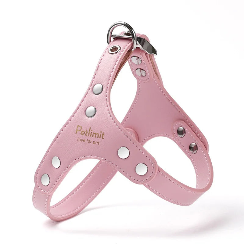 Premium Leder Hunde-Geschirr &amp; Leinen Set – Robustes Hundegeschirr mit verstärkten Nieten für kleine Hunde &amp; Welpen