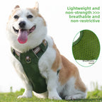 Retro Leder Hundegeschirr – Explosionssicheres, reflektierendes Brust- & Rückengeschirr, atmungsaktiv & verstellbar