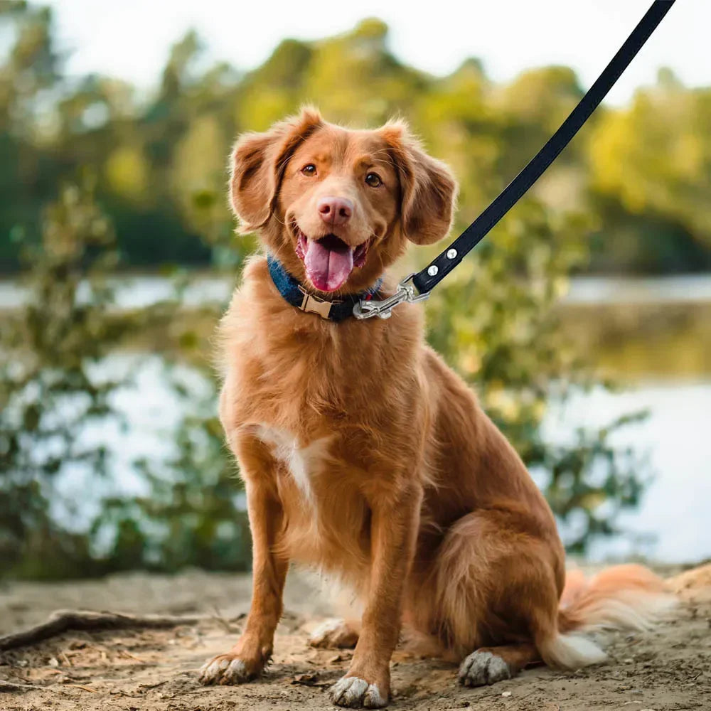 Bunte Leder-Hundeleine für Katzen & Hunde – 1,2 m Weiche PU-Lederleine für Spaziergänge