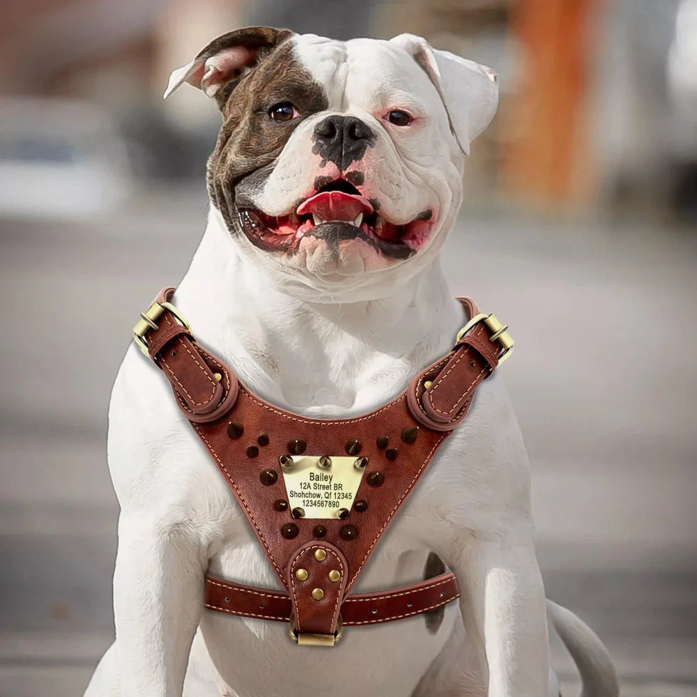 Harnais à pointes en cuir personnalisé avec plumes – Harnais à pointes robuste pour chiens de taille moyenne et grande, comme Pitbull et Bulldog 