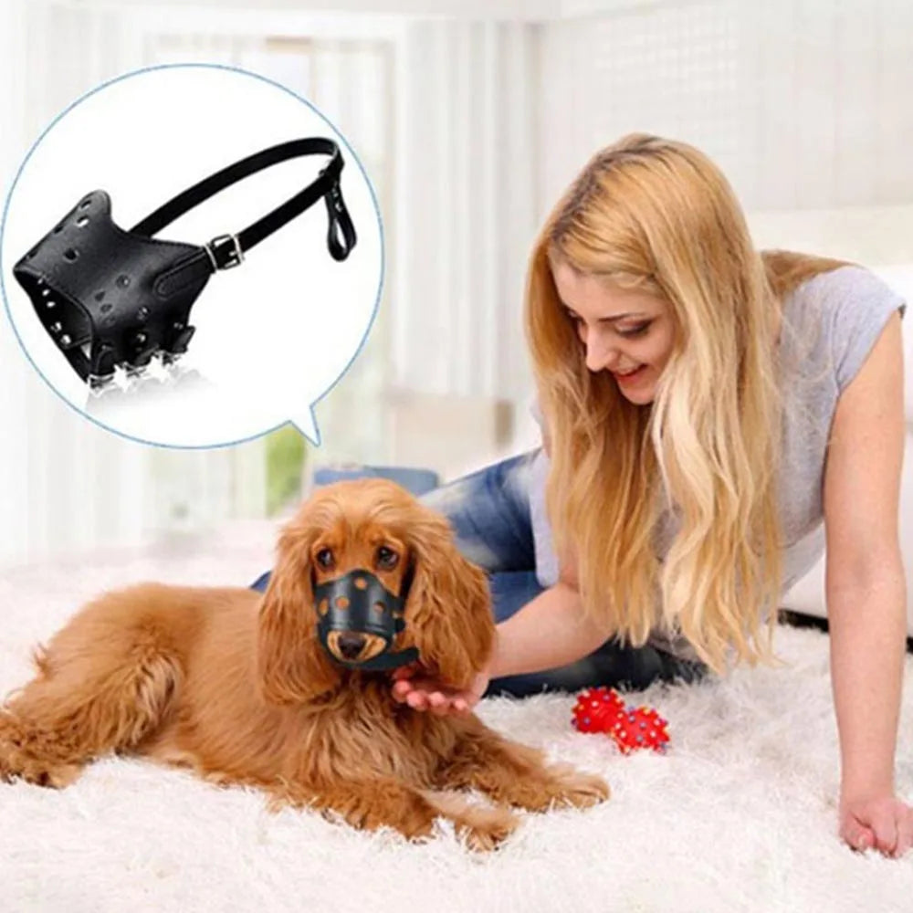 Ceinture en cuir blanc pour chiens de grande et moyenne taille – Verstellbarer Anti-Bellen, Beißen &amp; Kauen Maulschutz für Training &amp; Alltag 