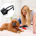 Ceinture en cuir blanc pour chiens de grande et moyenne taille – Verstellbarer Anti-Bellen, Beißen &amp; Kauen Maulschutz für Training &amp; Alltag 