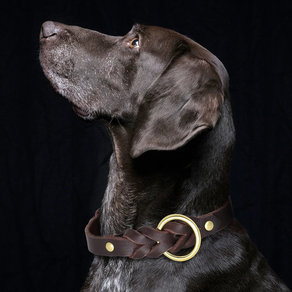 Echtes Leder Hundehalsband & Leinen-Set – Geflochten, robust und komfortabel