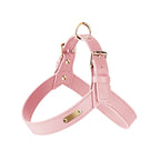 Wasserdichtes Leder Hundegeschirr mit Leine – Verstellbares Brustgeschirr-Set mit Schnellverschluss für kleine &amp; mittelgroße Hunde