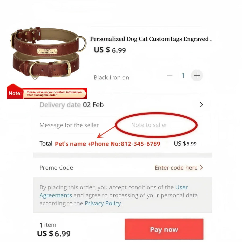 Personalisiertes Leder Hunde-Halsband mit Gravur – Weich gepolstertes, verstellbares Halsband inkl. Namensschild für kleine, mittlere & große Hunde