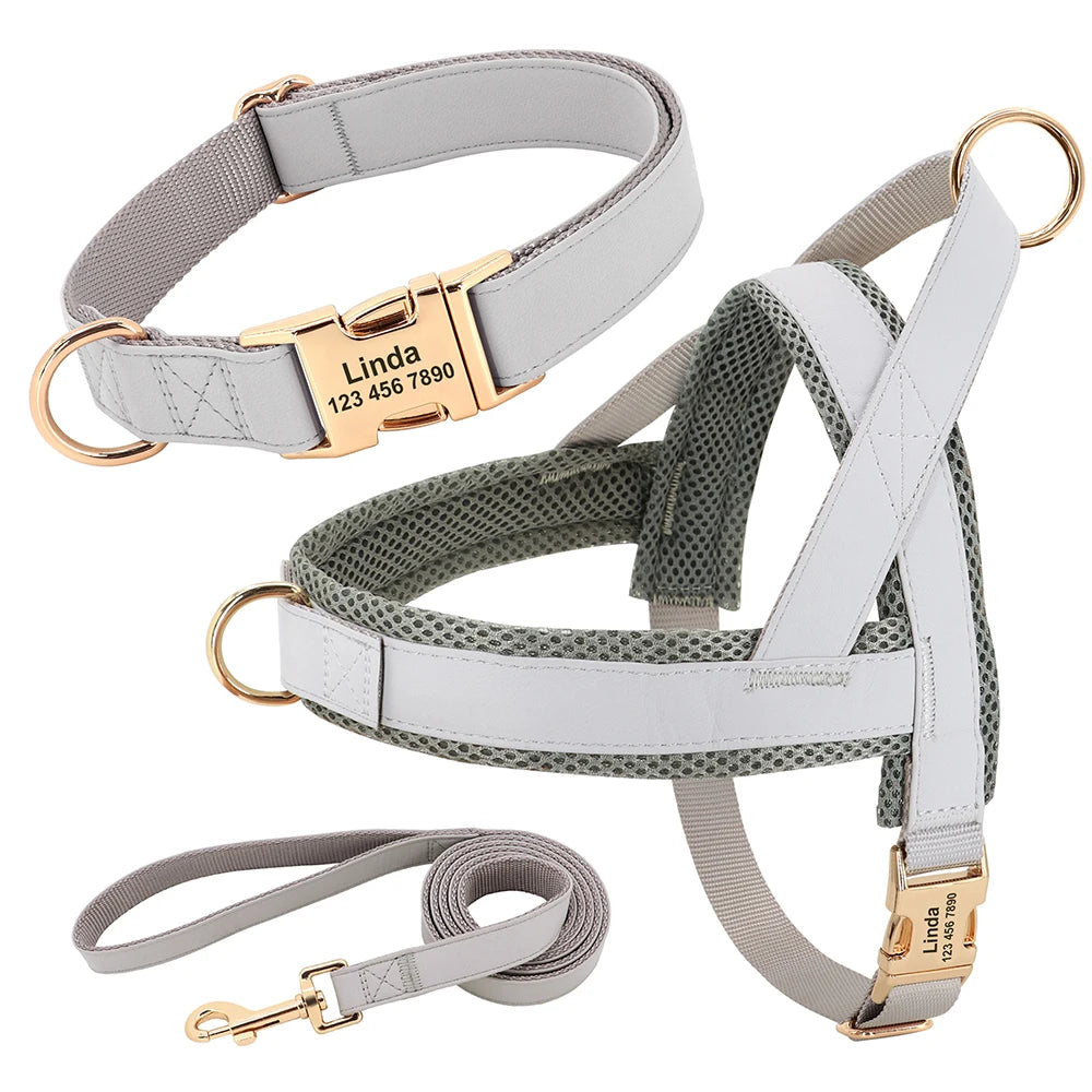 Personalisierbares Leder Hundehalsband, Geschirr & Leine Set – Gepolstertes Mesh Hundegeschirr mit Namensgravur für kleine, mittlere & große Hunde