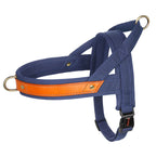 No-Pull Hunde-Geschirr Set aus Nylon & PU-Leder – Gepolstertes Harness mit Halsband & Leine für kleine, mittlere & große Hunde
